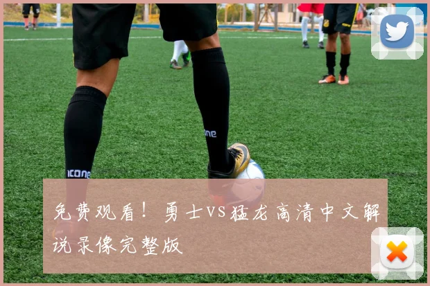 免费观看!勇士vs猛龙高清中文解说录像完整版